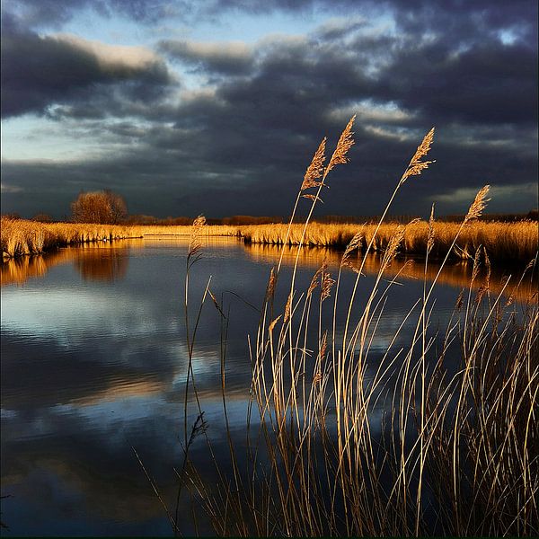 Bach im Abendlicht von Mario de Lijser