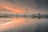 Wenn Frieden auf Sonne trifft