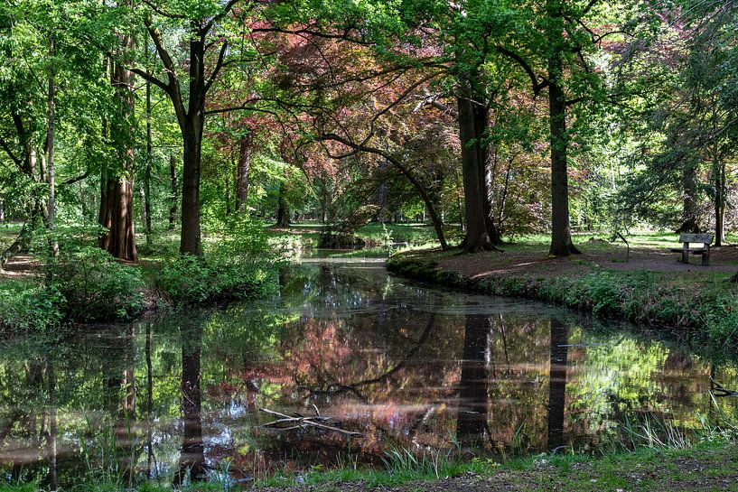 Herbstfarben im Wald von Ingrid Aanen