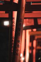 Tori gates in Japanese temples