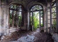 Forgotten garden room