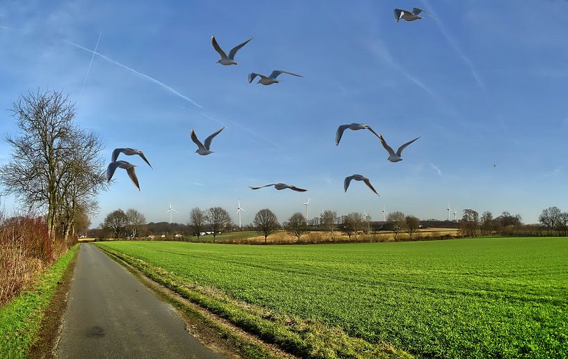 Lavesum 12 par Edgar Schermaul