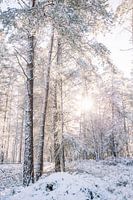 Salland Ridge im Schnee - Schöne Winterlandschaft