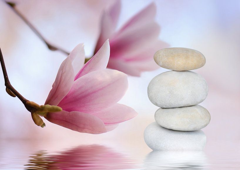 Balance par Violetta Honkisz