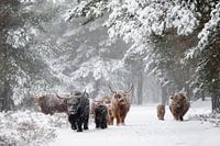 Familie auf der Straße im Schneesturm