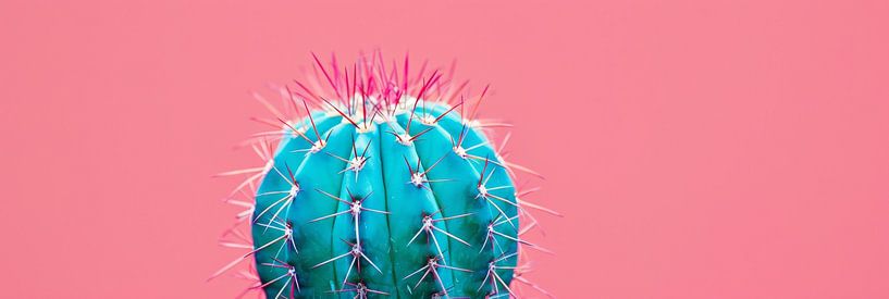 Cactus par Poster Art Shop