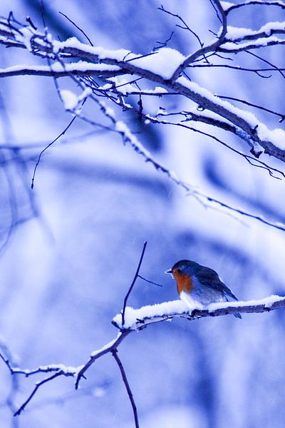 Hiver 2 par Eugene Klinkenberg