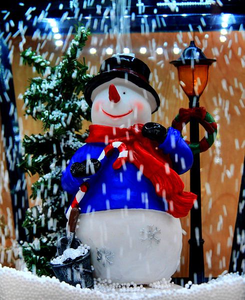 Schneemann in der Laterne von Edgar Schermaul