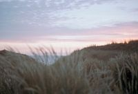 Analogue 35mm - Bar de plage dans les dunes au coucher du soleil - Den Haa