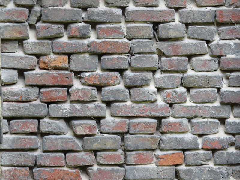 Wall of bricks by Rafael Delaedt