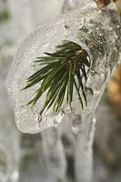 Der Frühling kommt! V