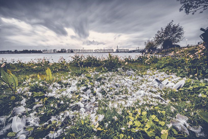 Entnahmeort eines Raubtiers am Wasser entlang von Fotografiecor .nl