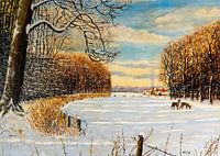 La tranquillité de la forêt en hiver