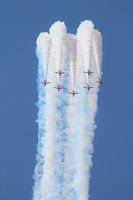 red arrows show