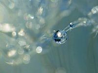 Blue Drop (Druppel in Blauw)