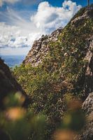 Christopher Mountain Curaçao