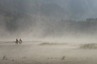 Reiter auf dem Sturm