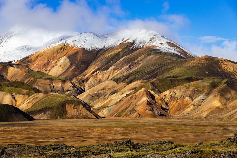 Une palette de couleurs par Freek van den Driesschen