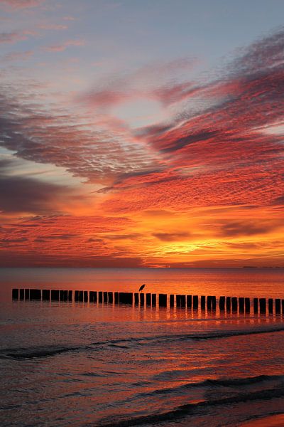 Lever de soleil sur la mer Baltique par Karina Gebert