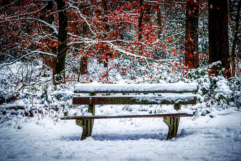 Surrealistische Natuur in de Veluwe by Liberty Biesma