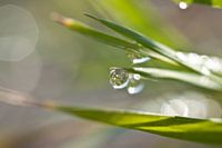 Tenez-vous-en à cela !