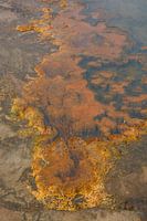 De adem van de aarde