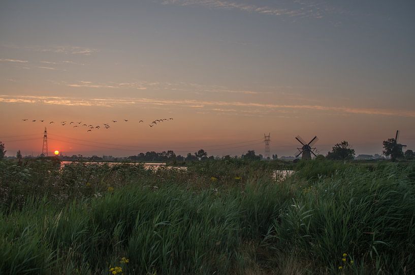 polder landscape by Jasper Los