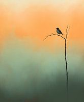 Bird among colourful fog