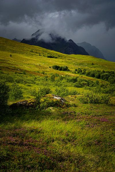 Threatening sky on the Lofoten Islands by Bart Cox
