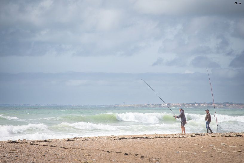 Zeevissen van Steven van Zoelen