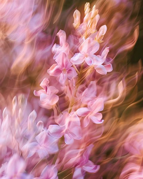 Verträumte rosa Blumen von But First Framing