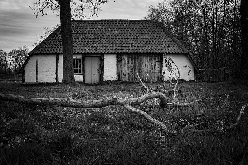 Eine Hütte im Moor von Geert Van Baelen