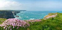 Cornish coast
