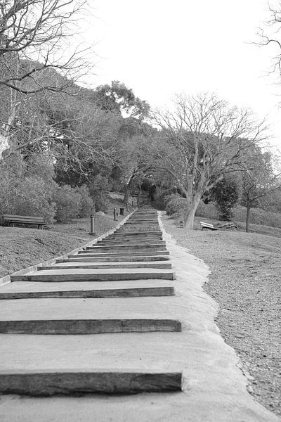 A never ending story by Tom Vandenhende by Tom Vandenhende