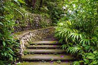 Escalier en pierre naturelle dans une végétation luxuriante