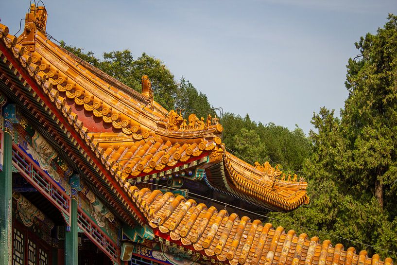 Toits d'or par Florian Kampes