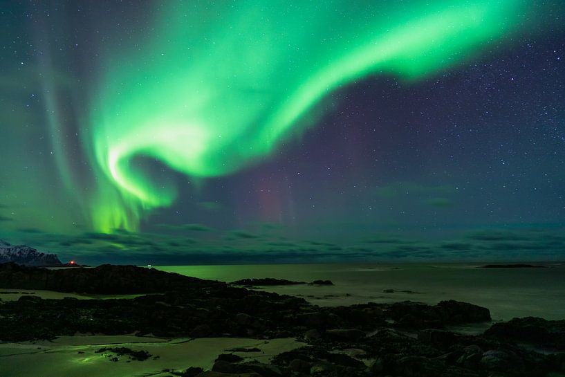 Green Northern Lights over the Sea by Tilo Grellmann