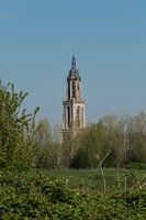 Kirche Cunera in Rhenen