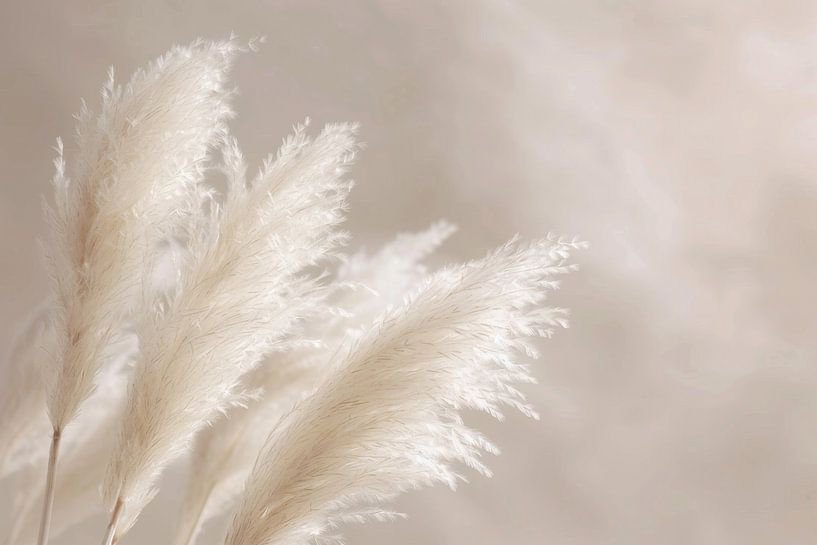 Pampas grass, beige tones, art, living room, nature, simple elegance, details, calming, harmonious, peaceful, decoration, timeless by Poster Art Shop