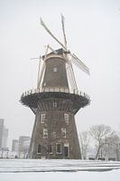 Molen de Valk in Leiden