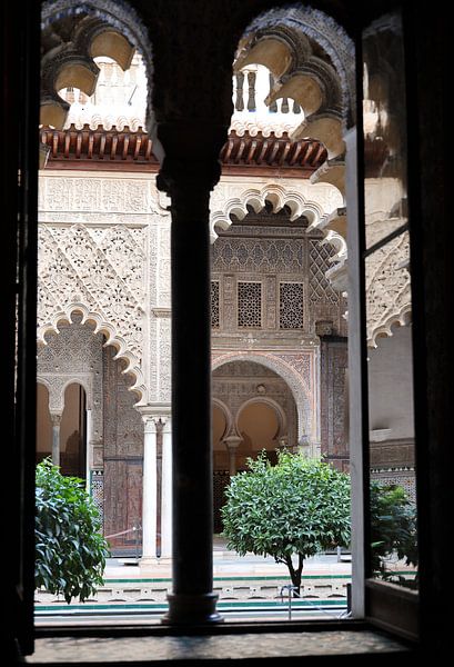 Vue sur l'Andalousie par Marieke Funke