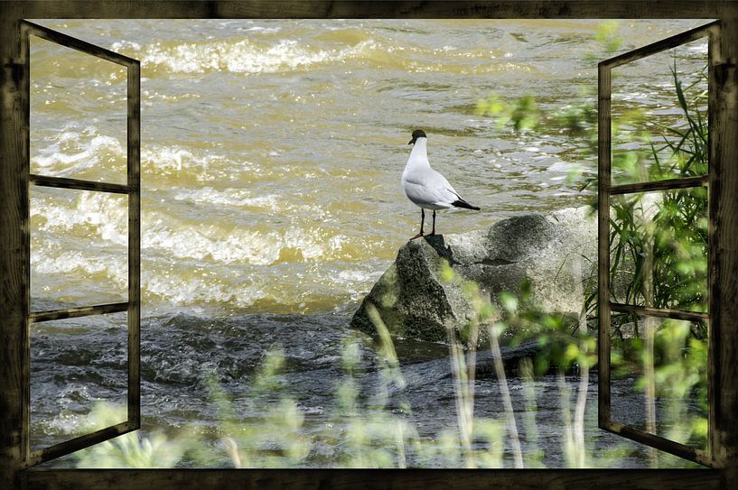Fensterblick - Wilde Wasser  von Christine Nöhmeier