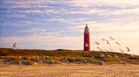 Eierland, the Texel lighthouse.