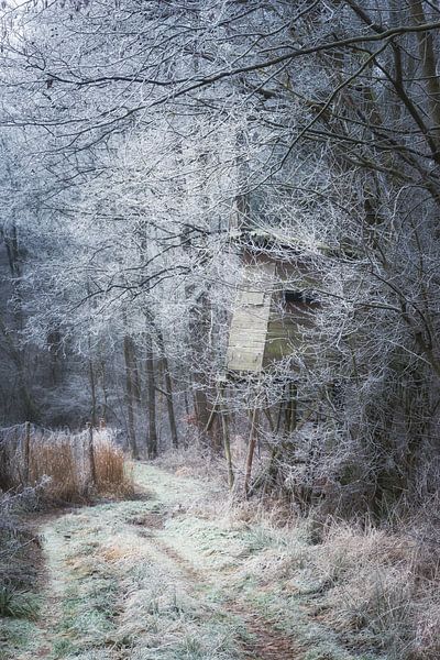 Landscape in frost by Tobias Luxberg