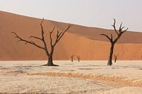 Deadvlei - The Heart of Namibia