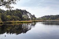 Beautiful reflections at the Hatertse en Overasseltse Vennen