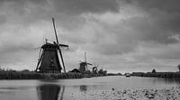 Mills at Kinderdijk