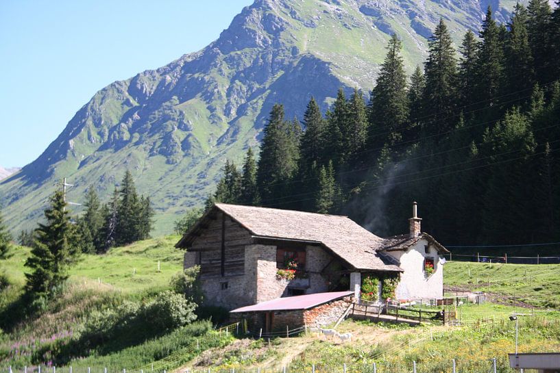 Zwitserland by Lieke Roeven