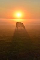 Fairytale sunrise in the countryside.