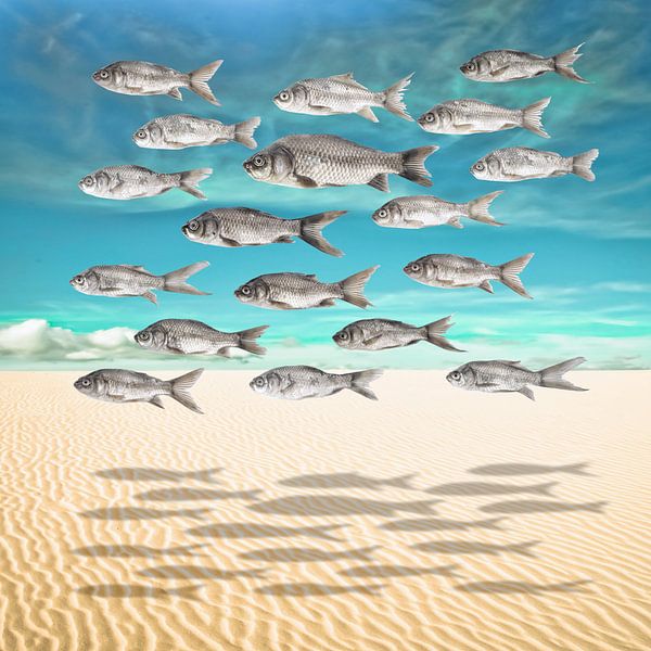 When Fish Fly von Marja van den Hurk